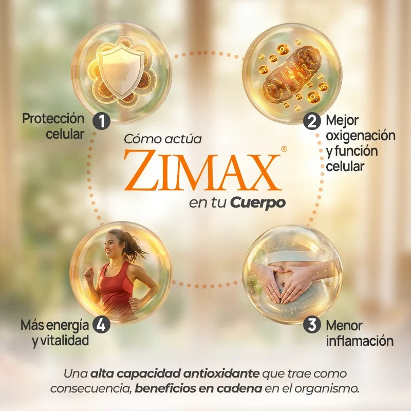 Paleolife Zimax® ZIMAX ANTIOXIDANTE PRACTICO ENVASE Seashell 1 Pack,3 Pack,6 Pack