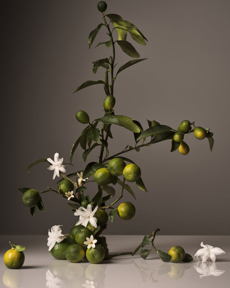 Homecourt Hand Cream Hand Cream Dim Gray Cece,Neroli Leaf,Steeped Rose,Mandarin Basile,Cipres Mint,Balsam Fireplace