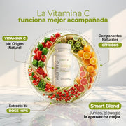 Paleolife Vitamin C 1000 Light Gray 1 Pack,3 Pack,6 Pack