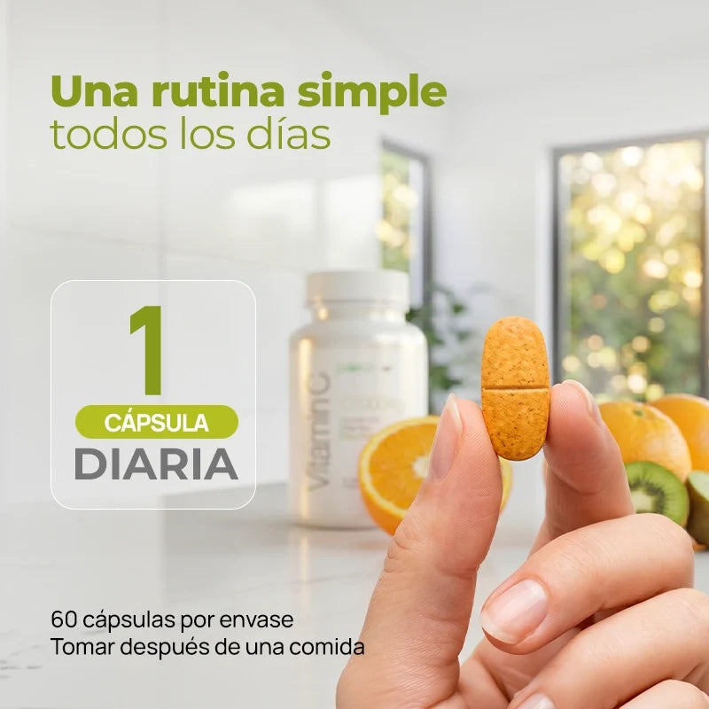 Paleolife Vitamin C 1000 Light Gray 1 Pack,3 Pack,6 Pack