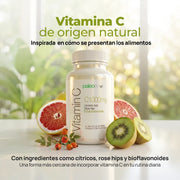 Paleolife Vitamin C 1000 Light Gray 1 Pack,3 Pack,6 Pack