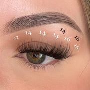 Pink Purée First Class DIY Lashes Tan 10MM,12MM,14MM,16MM,18MM