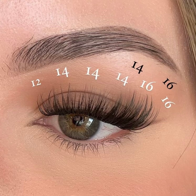 Pink Purée First Class DIY Lashes Tan 10MM,12MM,14MM,16MM,18MM