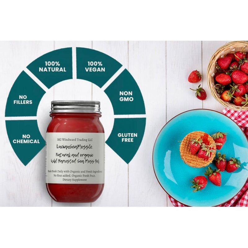 MG Windward Trading LLC Aloe Vera Infused Organic Sea Moss Gel Herbal Gel Dark Cyan 8 oz. / Without Agave,8 oz. / With Agave,16 oz. / Without Agave,16 oz. / With Agave,32 oz. / Without Agave,32 oz. / With Agave
