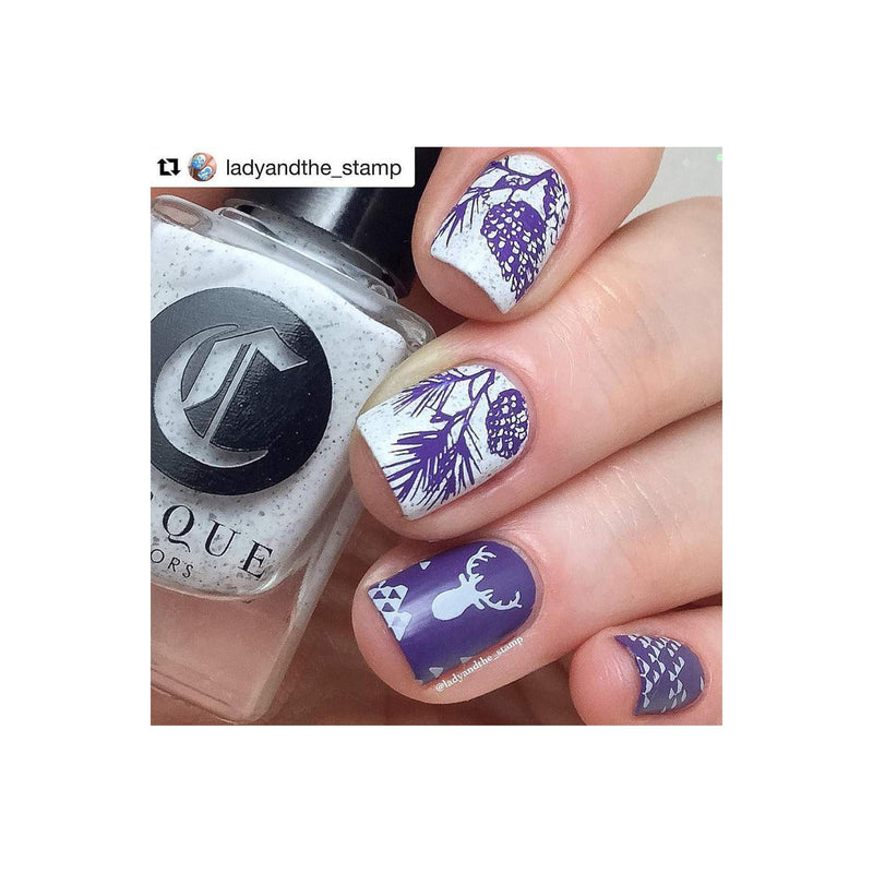 UberChic Beauty Great Outdoors Stamping Plate Rosy Brown