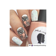 UberChic Beauty Who Gives a Hoot Stamping Plate Rosy Brown