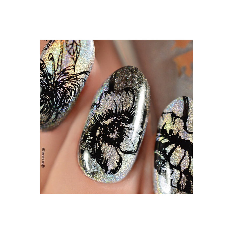 UberChic Beauty Secret Garden-01 Stamping Plate Dim Gray