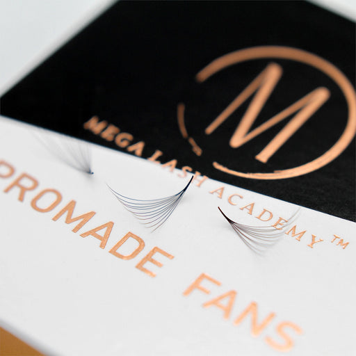 Mega Lash Academy 10D Mix Promade Loose Fans - 1000 Fans Promade Fans Antique White 0.03 / C / Mixed 9-10-11-12 mm,0.03 / C / Mixed 13-14-15-16 mm,0.03 / CC / Mixed 9-10-11-12 mm,0.03 / CC / Mixed 13-14-15-16 mm,0.03 / D / Mixed 9-10-11-12 mm,0.03 / D / Mixed 13-14-15-16 mm