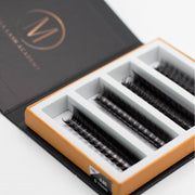 Mega Lash Academy 10D Mix Rapid Promade Fans® - 1000 Fans Promade Fans Light Gray 0.03 / C / Mixed 9-10-11-12 mm,0.03 / C / Mixed 11-12-13-14 mm,0.03 / C / Mixed 13-14-15-16 mm,0.03 / C / Mixed 15-16-17-18 mm,0.03 / CC / Mixed 9-10-11-12 mm,0.03 / CC / Mixed 11-12-13-14 mm,0.03 / CC / Mixed 13-14-15-16 mm,0.03 / CC / Mixed 15-16-17-18