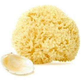 Lizzie's All-natural Products Natural Dead Sea Sponge Health & Beauty Light Goldenrod