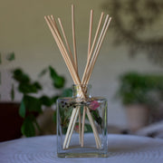 Rosy Rings Accent Botanical Reed Diffuser - Apricot Rose 4oz Botanical Diffuser Dim Gray