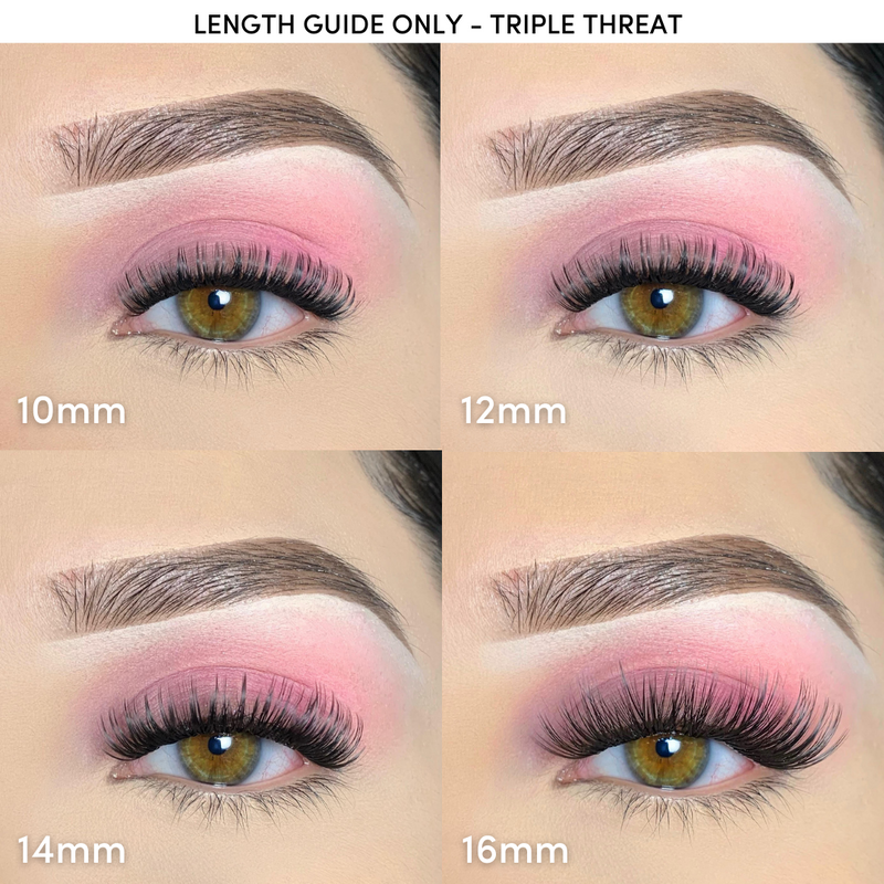 Pink Purée Triple Threat DIY Lashes Wheat 10MM,12MM,14MM,16MM,18MM