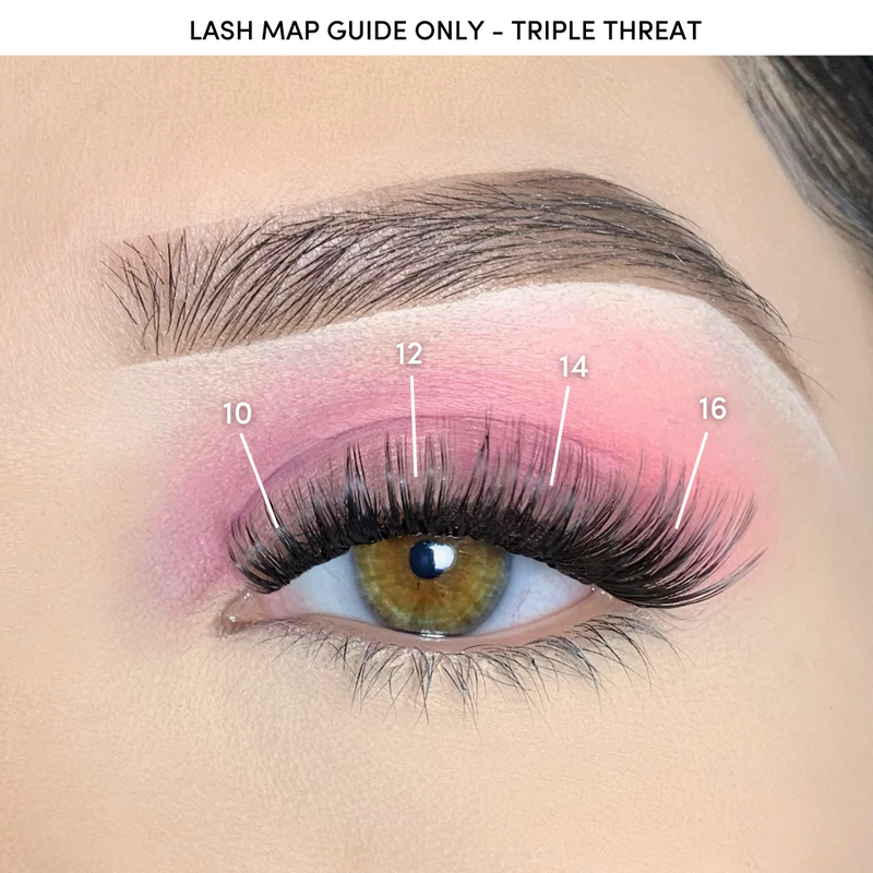 Pink Purée Triple Threat DIY Lashes Dark Slate Gray 10MM,12MM,14MM,16MM,18MM