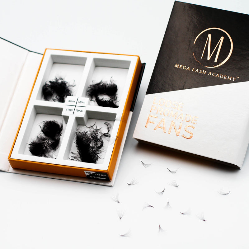 Mega Lash Academy 14D Mix Promade Loose Fans - 1000 Fans Promade Fans Dark Slate Gray 0.03 / C / Mixed 9-10-11-12 mm,0.03 / C / Mixed 13-14-15-16 mm,0.03 / CC / Mixed 9-10-11-12 mm,0.03 / CC / Mixed 13-14-15-16 mm,0.03 / D / Mixed 9-10-11-12 mm,0.03 / D / Mixed 13-14-15-16 mm