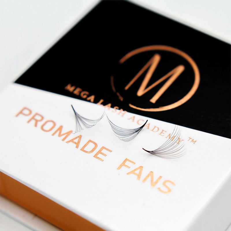 Mega Lash Academy 14D Promade Loose Fans - 500 Fans Promade Fans Lavender 0.03 / C / 9,0.03 / C / 10,0.03 / C / 11,0.03 / C / 12,0.03 / C / 13,0.03 / C / 14,0.03 / C / 15,0.03 / C / 16,0.03 / C / 17,0.03 / C / 18,0.03 / CC / 9,0.03 / CC / 10,0.03 / CC / 11,0.03 / CC / 12,0.03 / CC / 13,0.03 / CC / 14,0.03 / CC / 15,0.03 / CC /