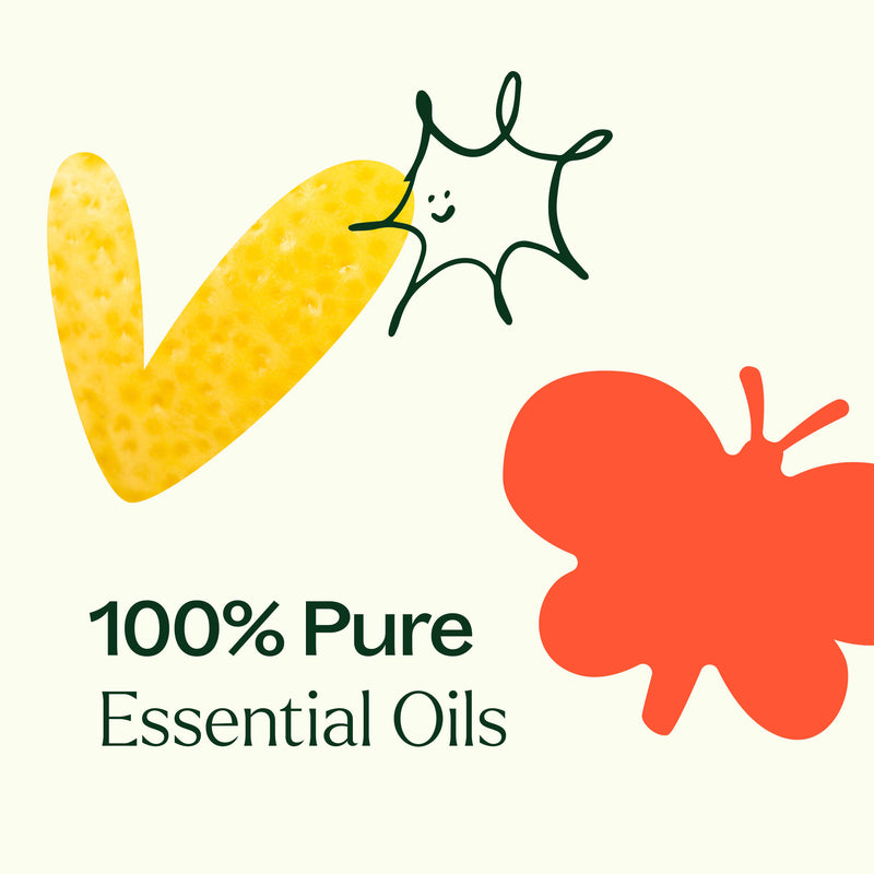 Plant Therapy 15 & 15 Essential Oil Set with Carrying Case Essential Oil Seashell
