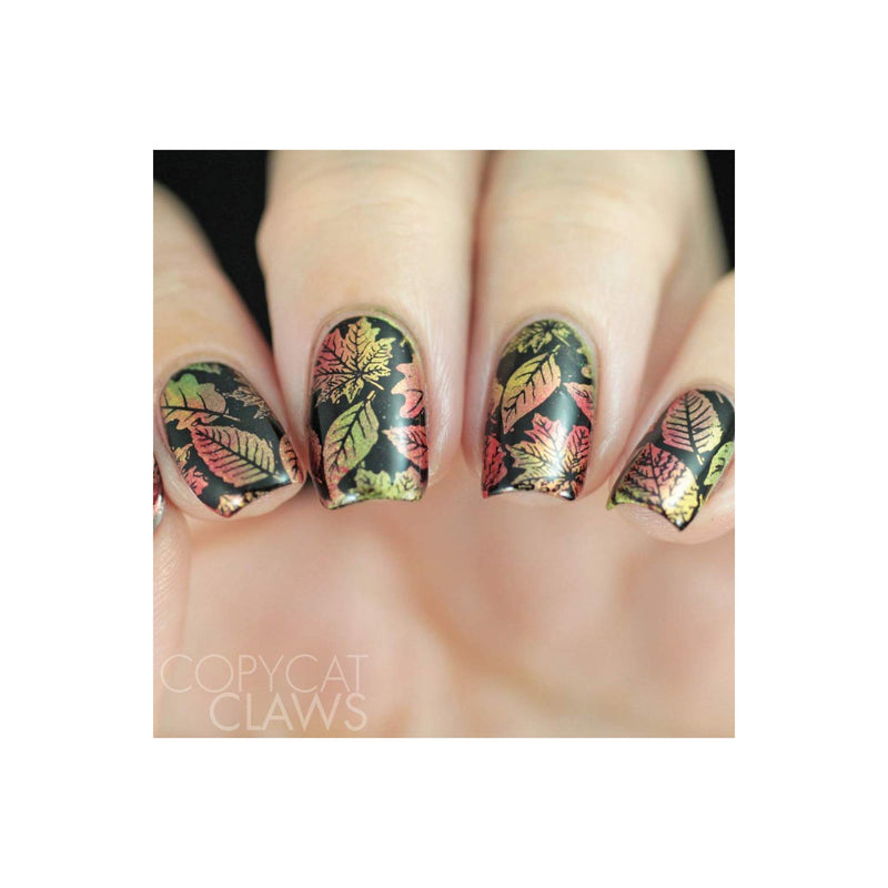 UberChic Beauty Lovely Leaves-02 Stamping Plate Tan