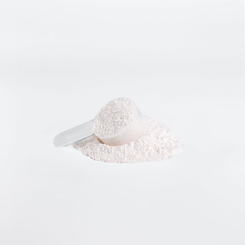 Goiteia Goiteia BCAA Shock Powder (Fruit Punch) 0.64lb (292g) Amino Acids & Blends Lavender