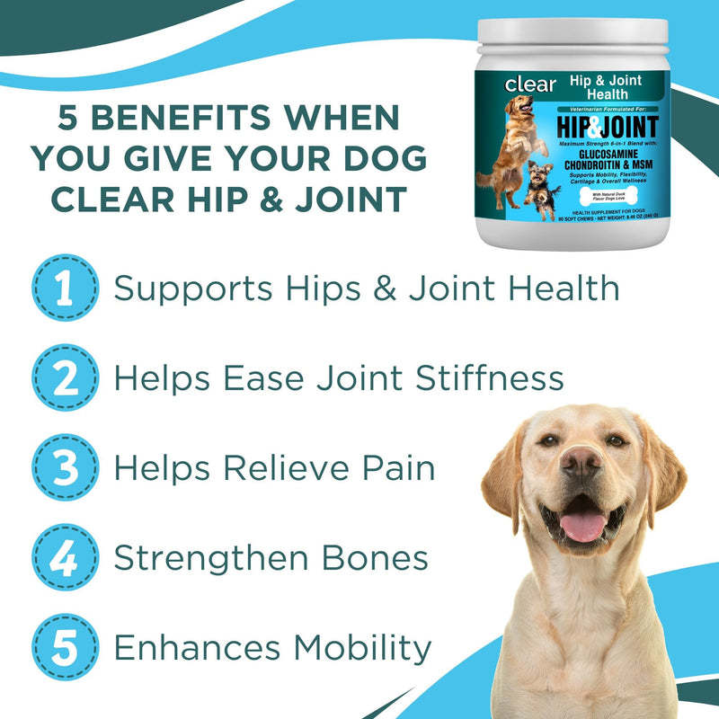 Clear Wellness 360 Clear Hip & Joint Health for Dogs White Smoke 3 Pack,1 Bottle,6 Pack