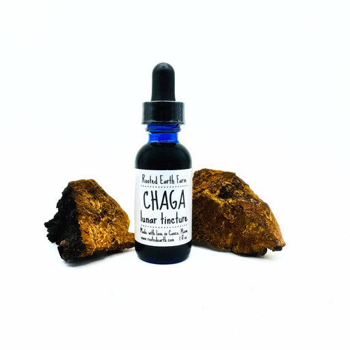 Rooted Earth Farm + Apothecary Maine Chaga Tincture Tinctures + Capsules White Smoke 1 oz