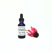 Rooted Earth Farm + Apothecary Echinacea Tincture Tinctures + Capsules Ghost White 1 oz