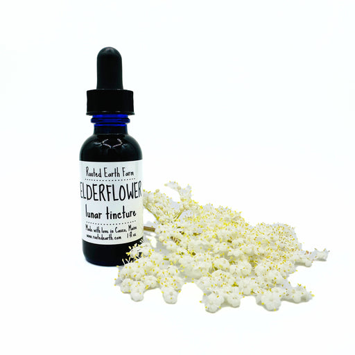 Rooted Earth Farm + Apothecary Elderflower Tincture Tinctures + Capsules White Smoke 1 oz