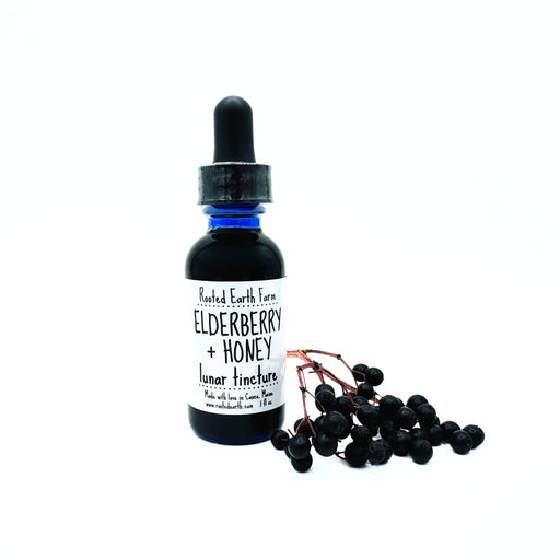 Rooted Earth Farm + Apothecary Elderberry + Honey Tincture Tinctures + Capsules White Smoke 1 oz,2 oz