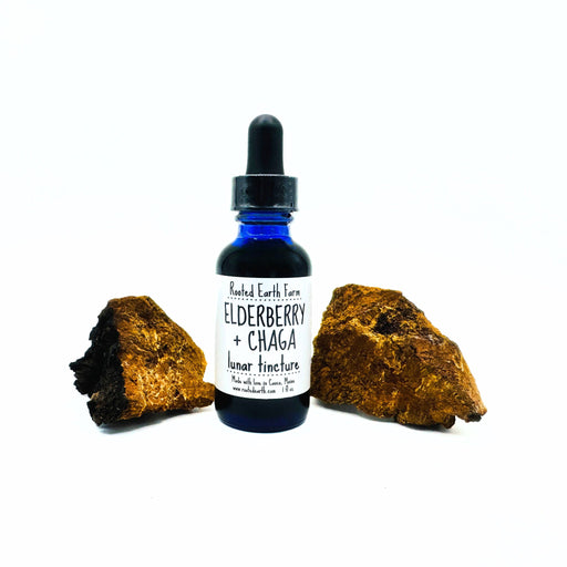 Rooted Earth Farm + Apothecary Elderberry and Chaga Tincture Tinctures + Capsules White Smoke 1 oz