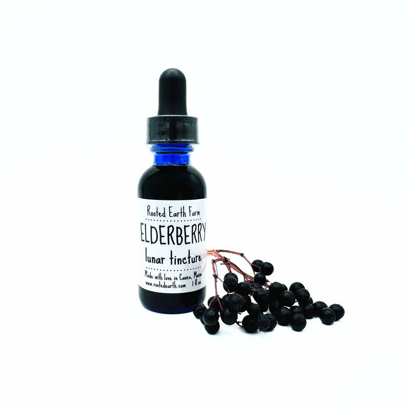 Rooted Earth Farm + Apothecary Elderberry Tincture Tinctures + Capsules White Smoke 1 oz