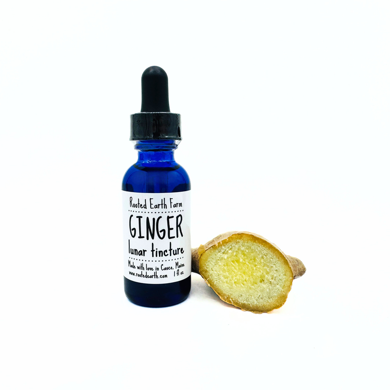Rooted Earth Farm + Apothecary Ginger Tincture Tinctures + Capsules White Smoke 1 oz