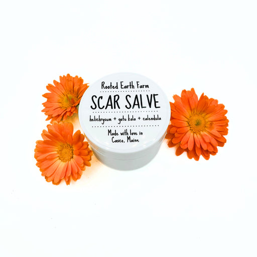 Rooted Earth Farm + Apothecary Scar Salve Herbal Salves + Balms White Smoke 1 oz