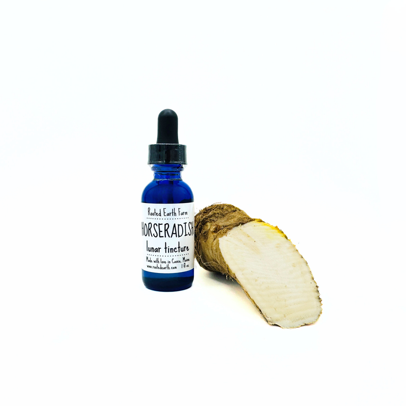 Rooted Earth Farm + Apothecary Horseradish Tincture Tinctures + Capsules White Smoke 1 oz,2 oz