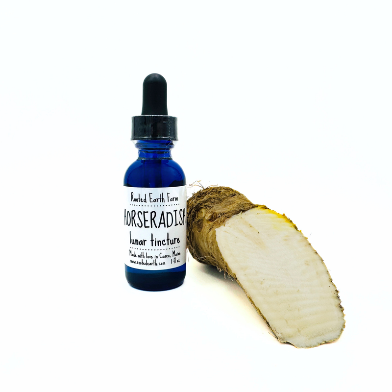 Rooted Earth Farm + Apothecary Horseradish Tincture Tinctures + Capsules White Smoke 1 oz