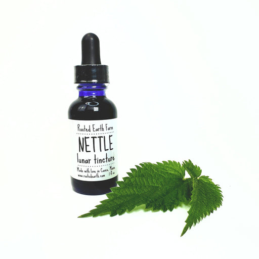 Rooted Earth Farm + Apothecary Nettle Tincture Tinctures + Capsules White Smoke 1 oz