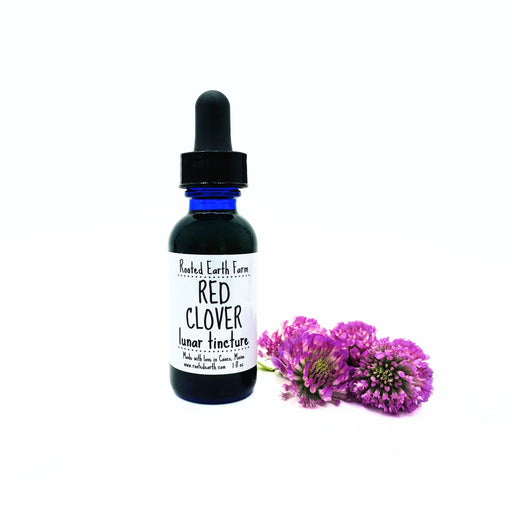 Rooted Earth Farm + Apothecary Red Clover Tincture Tinctures + Capsules White Smoke 1 oz,2 oz