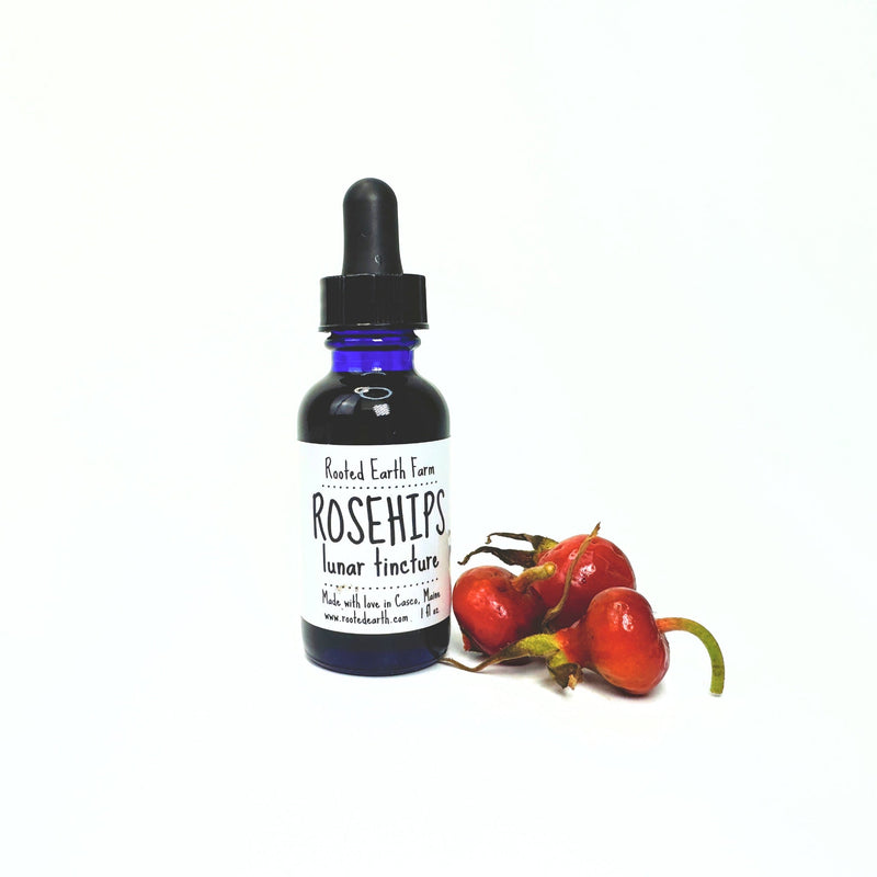 Rooted Earth Farm + Apothecary Rose Hip Tincture Tinctures + Capsules White Smoke 1 oz
