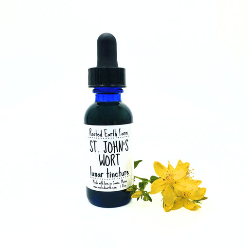Rooted Earth Farm + Apothecary St. John's Wort Tincture Tinctures + Capsules White Smoke 1 oz