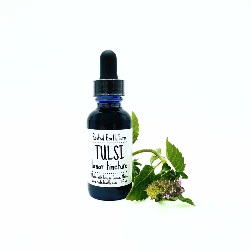 Rooted Earth Farm + Apothecary Tulsi (Holy Basil) Tincture Tinctures + Capsules White Smoke 1 oz