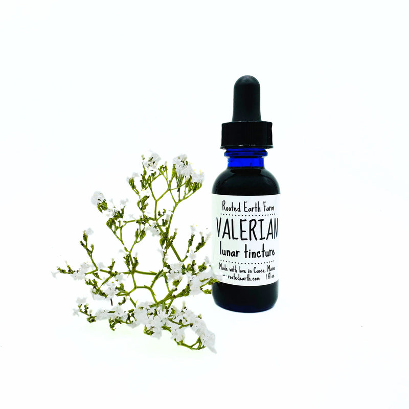 Rooted Earth Farm + Apothecary Valerian Tincture Tinctures + Capsules White Smoke 1 oz