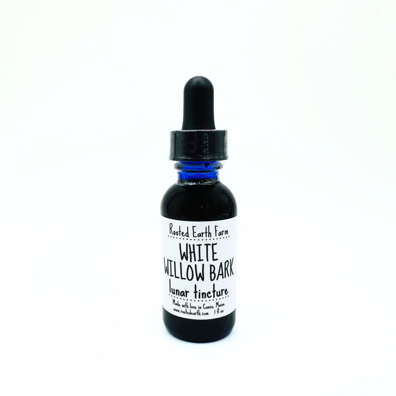 Rooted Earth Farm + Apothecary White Willow Bark Tincture Tinctures + Capsules White Smoke 1 oz