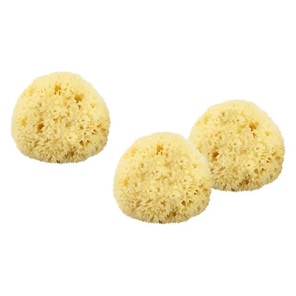 The Sponge Company The Sponge Company - Sea-Silk Cosmetic Sponge #1 (3PC-Set) [101-03] Cosmetic Sponge Light Goldenrod