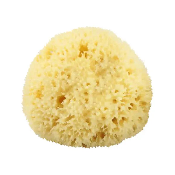 The Sponge Company The Sponge Company Natural Bathing Sea Sponge #2 Medium [202-02] Bathing Sea Sponge Light Goldenrod