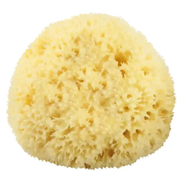 The Sponge Company The Sponge Company Natural Bathing Sea Sponge #4 X-Large [202-04] Bath Sponge Light Goldenrod