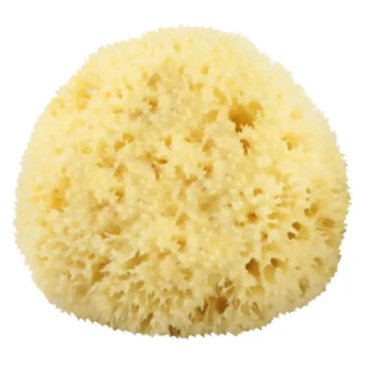 The Sponge Company The Sponge Company Natural Bathing Sea Sponge #4 X-Large [202-04] Bath Sponge Light Goldenrod
