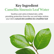 AsiaBeautyMall Dr. Althea Green Tea Fresh Sunscreen SPF50+ PA++++ Sunscreen White Smoke