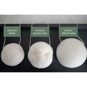 No Tox Life LUNA Facial Sponge - White - No Tox Life® Dark Slate Gray
