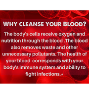 SpeedyVite® Blood LifeBoost® Tea | USDA Organic Herbal Cleansing Tea (4 oz / 8 oz / 28 Bags) | SpeedyVite® - FREE SHIPPING Tea Dark Red 1x 4oz Loose Leaf,1x 28 Teabags,1x 8oz Loose Leaf [2x4oz],CASE OF 6x (4oz Loose Leaf),CASE OF 6x (28 Teabags),1x 8oz Loose Leaf [2x4oz] - 50% OFF (Past Best-By) - dried herbs don't spoil, best-by = peak potency not safety