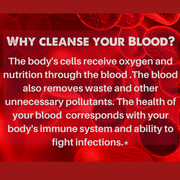 SpeedyVite® Natural Blood Cleanser Drops (2 fl oz) | Organic & Wildcrafted | SpeedyVite - FREE EXPEDITED Drops Dark Red 1x 2oz Drops,CASE OF 6x 2oz Drops