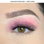 Pink Purée First Class DIY Lashes Wheat 10MM,12MM,14MM,16MM,18MM