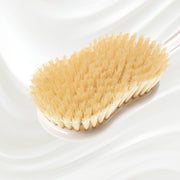 KOH-I-NOOR Beauty USA Natural Bristle Shower Back Brush - Long Handle for Full Back Exfoliation Bath & Body Brushes Lavender